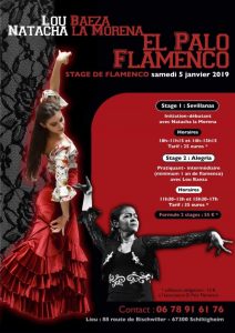 Stage Corazón Flamenco